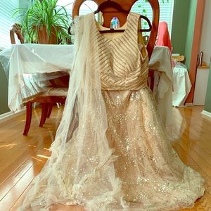 Beige Indian lehenga dress embroidered blouse